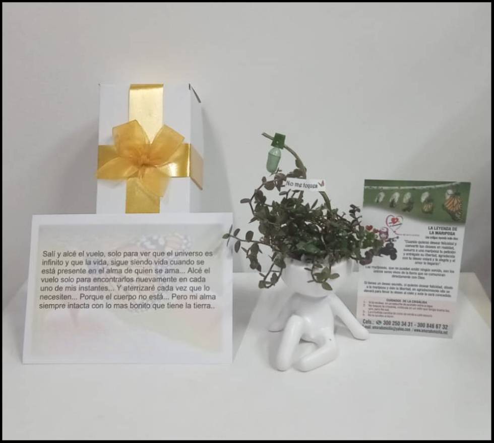 Detalles fúnebres: Crisálida, alas de esperanza.