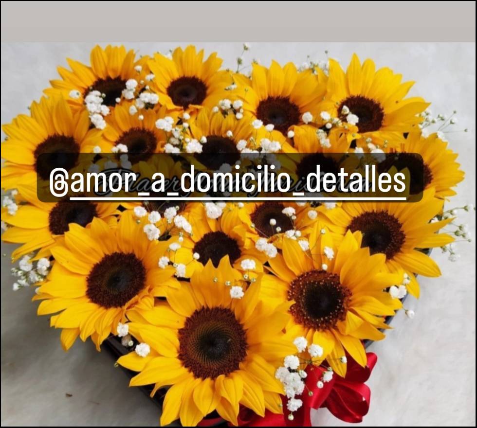 Caja de girasoles te amo.