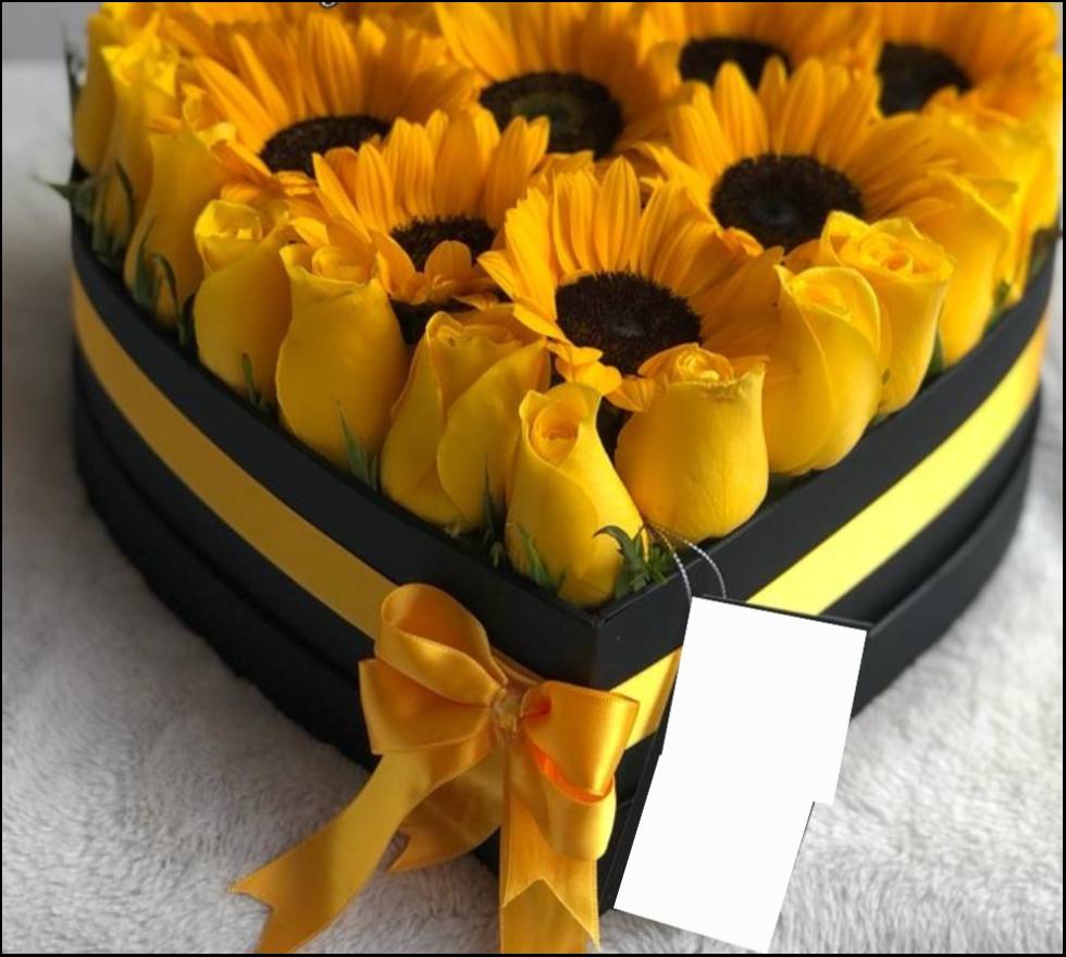 Caja de rosas rayos de sol.