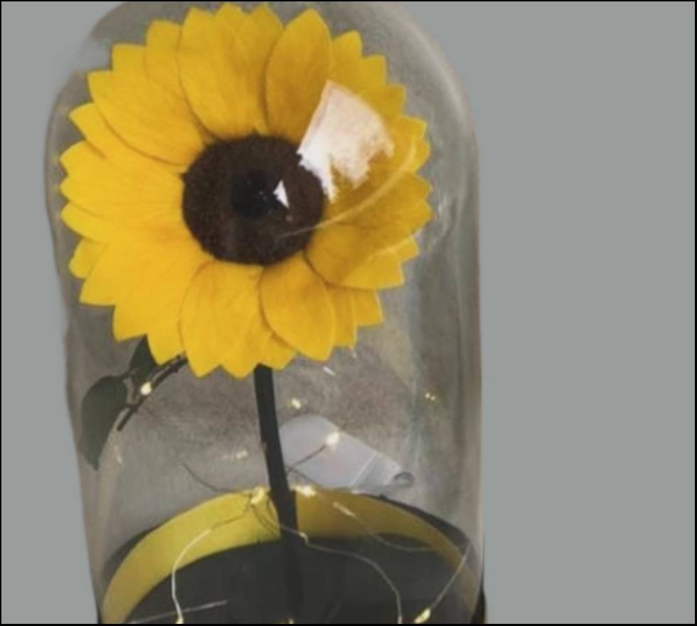 Regalos para el día de la Madre: Girasol eterno amor