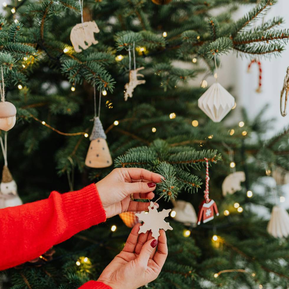Vive la Magia de la Navidad en Medellín